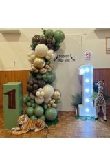 Çikolata Kahve Sütlü Kahve ve Küf Yeşili Balon Zinciri 100 Adet