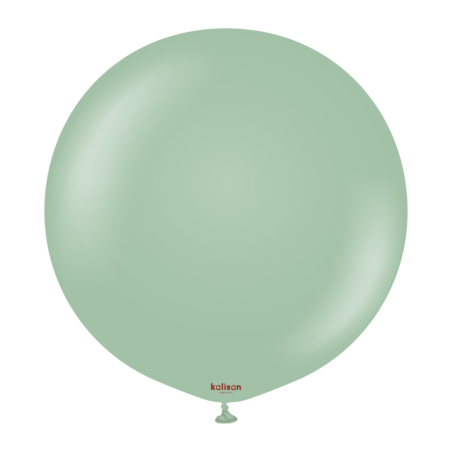 24'' RETRO WINTER GREEN (KIŞ YEŞİLİ) 2 Lİ