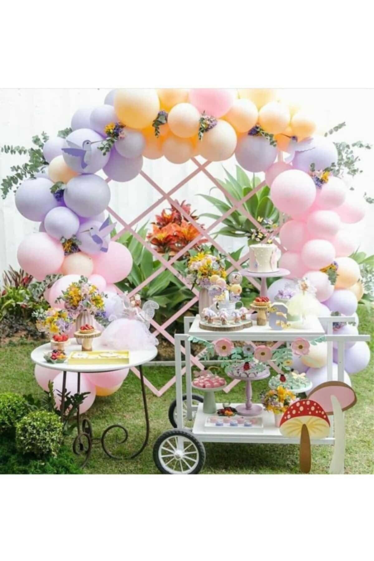 Makaron Lila Pembe Somon Temalı Balon Ve Balon Zincir