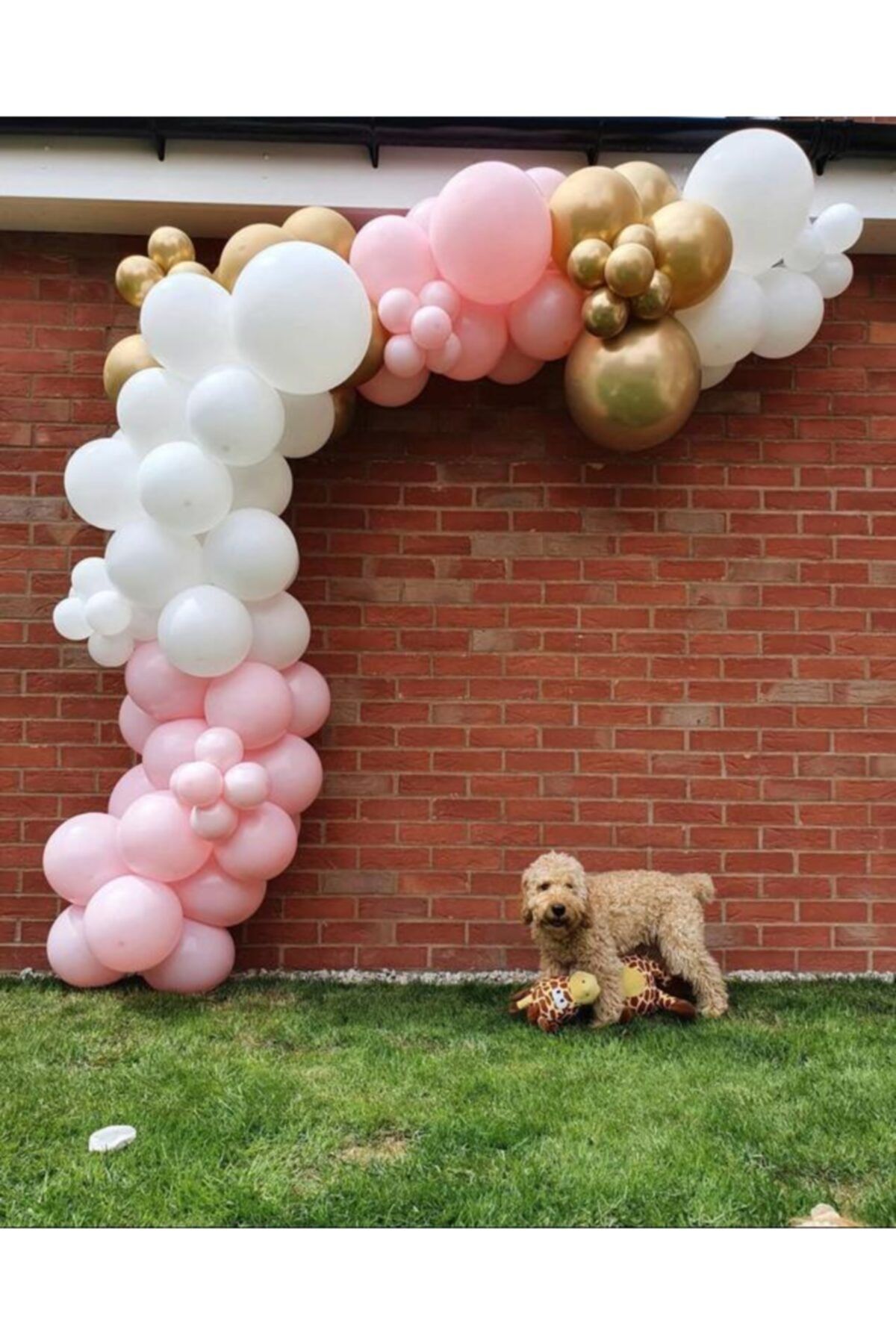 Krom Gold Makaron Pembe Ve Beyaz Balon Zinciri 100 Adet