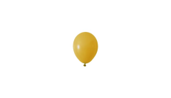 5'' YUVARLAK BALON HARDAL (100'LÜ)